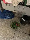 På gulvet sto en blender fylt med grønnsaker.
