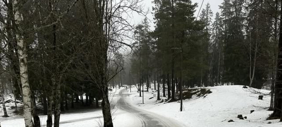 – Vil neppe være mulige å redde
